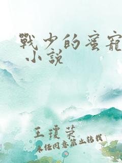 战少的蜜宠娇妻 小说