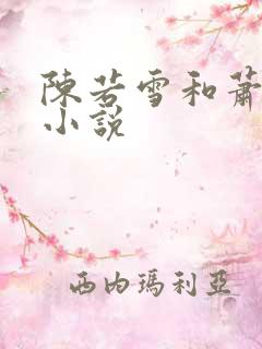 陈若雪和萧天的小说