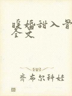 暖婚甜入骨阅读全文