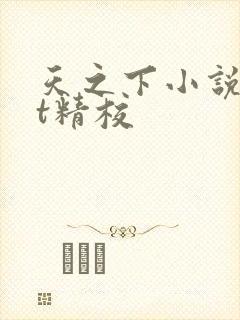天之下小说txt精校