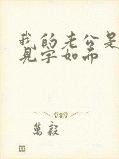 我的老公是冥王见字如面