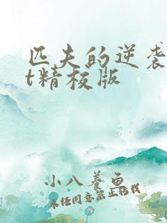匹夫的逆袭txt精校版