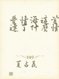 爱情海这首歌表达了什么情感
