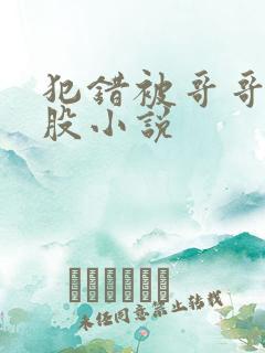 犯错被哥哥打屁股小说
