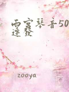 雨宫琴音500连发