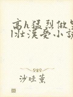 高h猛烈做哭bl壮汉受小说