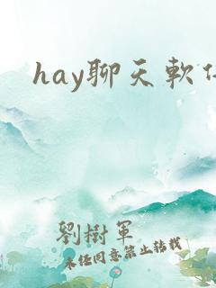 hay聊天软件
