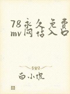 78永久免费看mv网站入口com