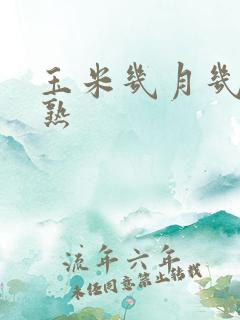 玉米几月几号成熟