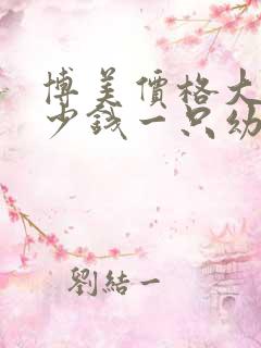 博美价格大概多少钱一只幼犬