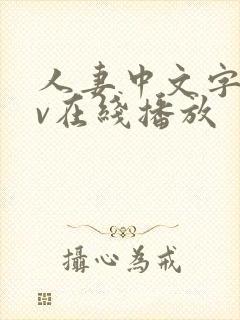 人妻中文字幕av在线播放