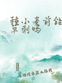种小麦前能打除草剂吗