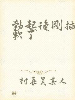 勃起后刚插入就软了