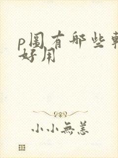 p图有哪些软件好用