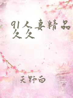91人妻精品久久久