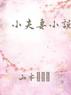 小夫妻小说
