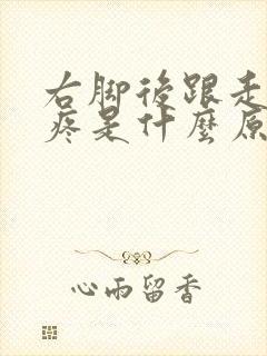 右脚后跟走路就疼是什么原因