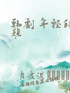 韩剧 年轻的母亲