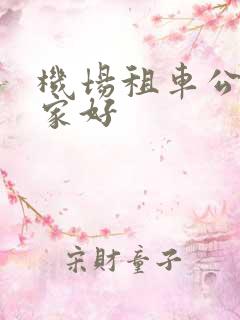 机场租车公司哪家好