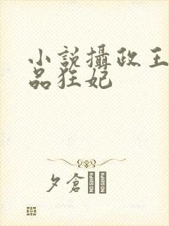小说摄政王的医品狂妃