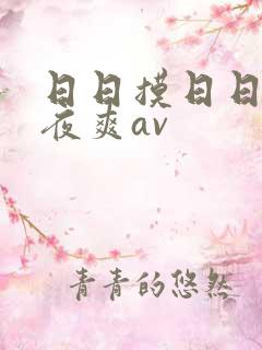日日摸日日碰夜夜爽av