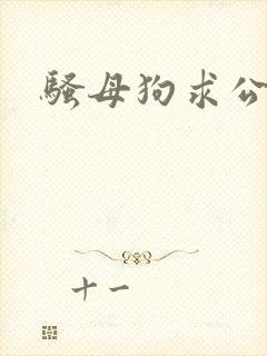 骚母狗求公狗操