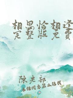 相思恰相逢短剧完整版免费