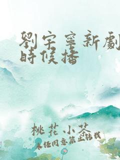 刘宇宁新剧什么时候播