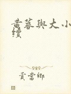 黄蓉与大小武后续
