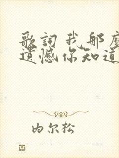 歌词 我那么多遗憾你知道吗