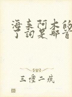 海来阿木的想你了词是哪首歌 海来阿木的想你了词是哪首歌