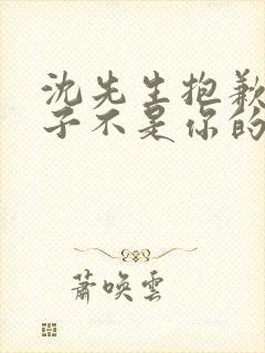 沈先生抱歉,孩子不是你的短剧