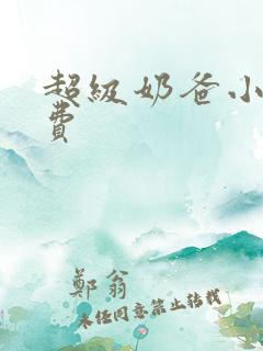 超级奶爸小说免费
