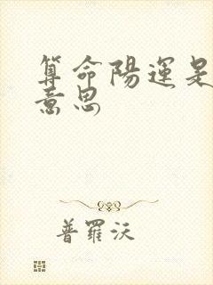 算命阳运是什么意思