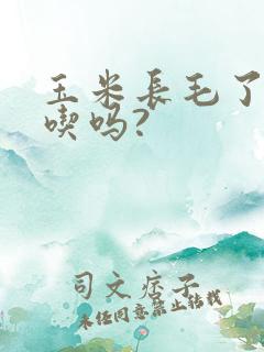 玉米长毛了还能吃吗?