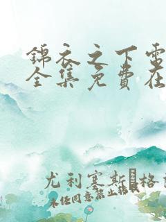 锦衣之下电视剧全集免费在线观看