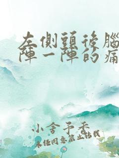 左侧头后脑勺一阵一阵的痛