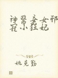 神医弃女邪王嗜宠小狂妃