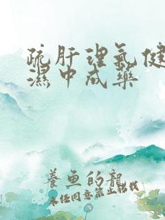 疏肝理气健脾祛湿中成药
