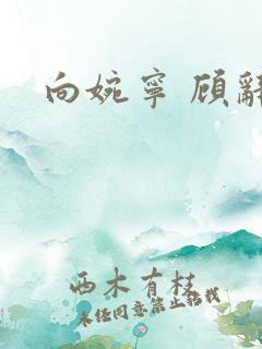 向婉宁 顾辞