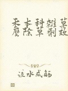 禾本科杂草用什么除草剂效果最好