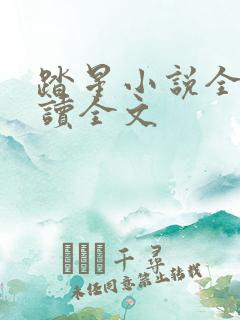 踏星小说全文阅读全文