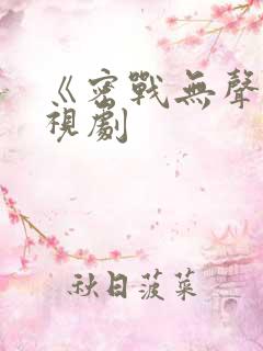 《密战无声》电视剧