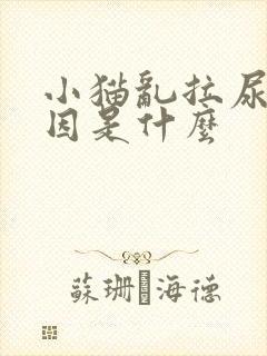 小猫乱拉尿的原因是什么