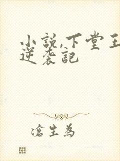 小说,下堂王妃逆袭记