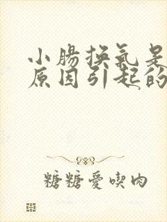 小肠换气是什么原因引起的