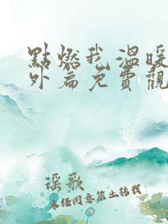 点燃我温暖你番外篇免费观看