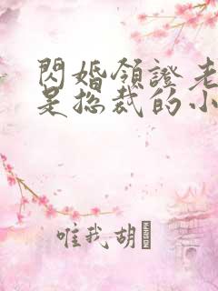 闪婚领证老公竟是总裁的小说