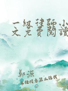 一级律师小说全文免费阅读