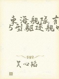 东海舰队有055型驱逐舰吗